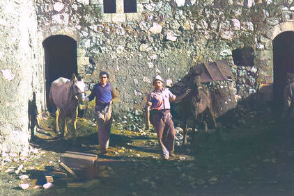Zir'in Archival Photo Record 05